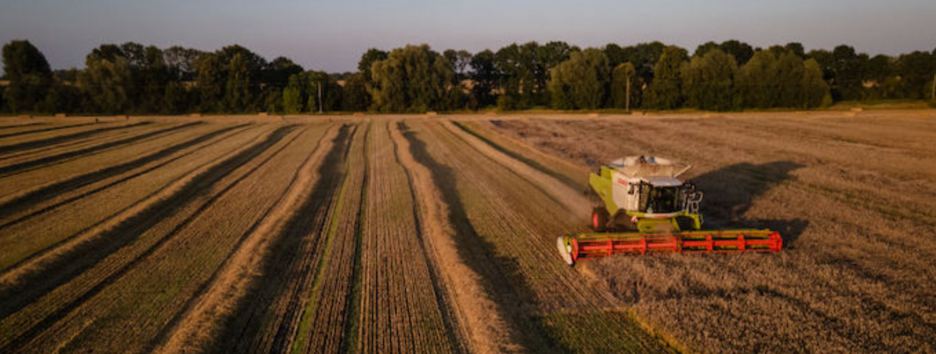 Україні з початку року вдалося профінансувати понад 6 тис агрогосподарств 
